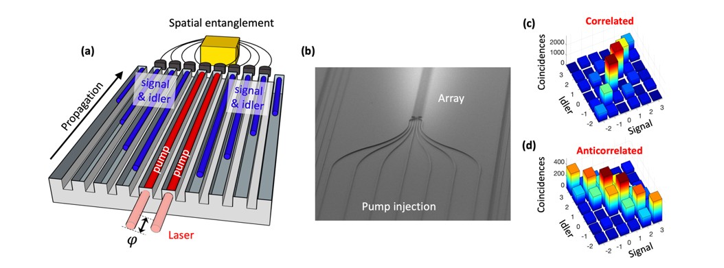 Tunable Generation of Spatial Entanglement in Nonlinear Waveguide Arrays