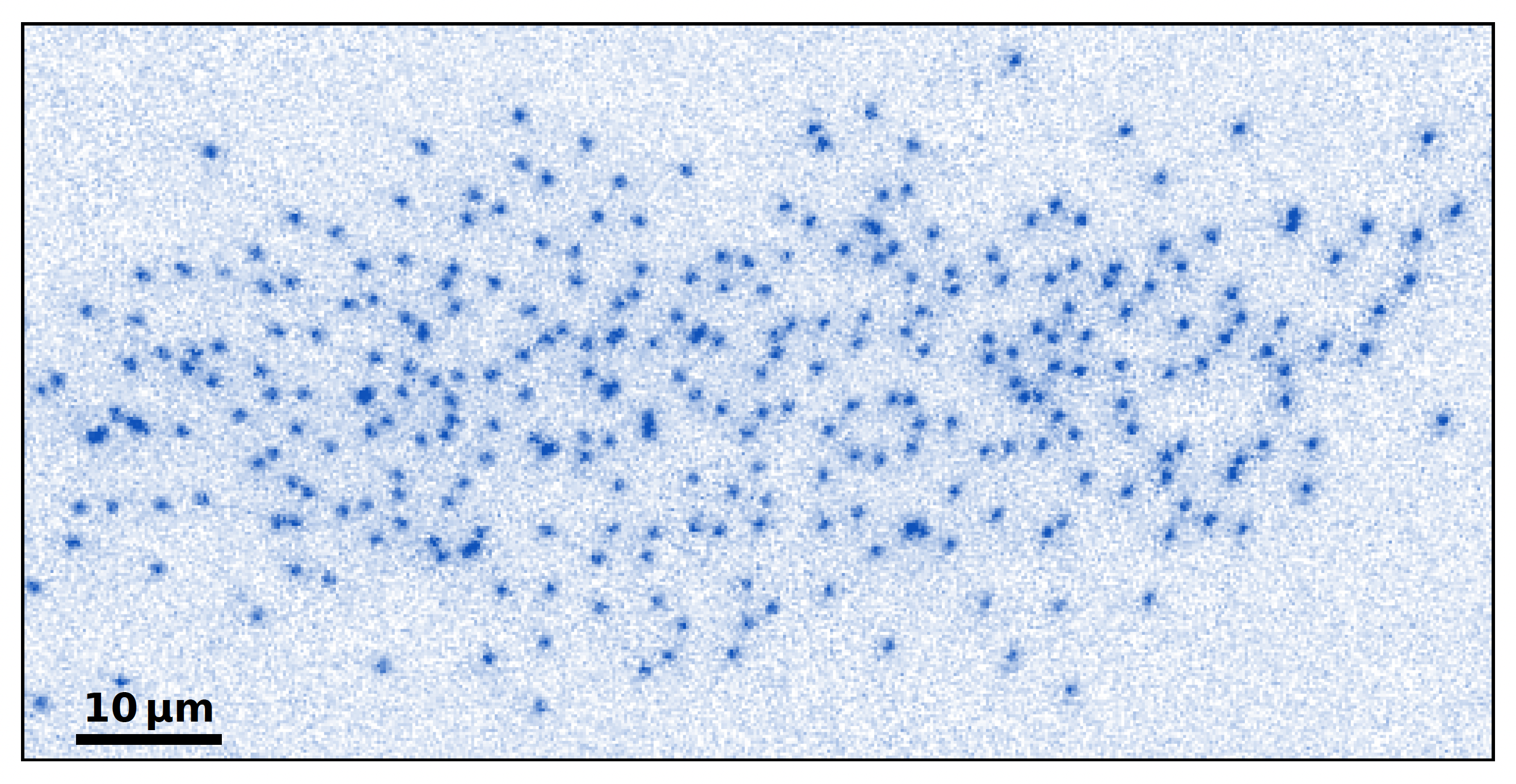 Quantum Gas Microscopy of Fermions in the Continuum